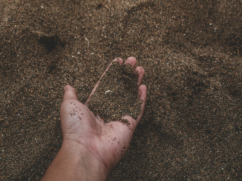 Natural way to increase soil fertility, image source - pexels