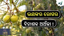 ଏହି ଫଳ ରୋଗ ପ୍ରତିରୋଧକ ଶକ୍ତିକୁ ମଜବୁତ କରିବ.....!