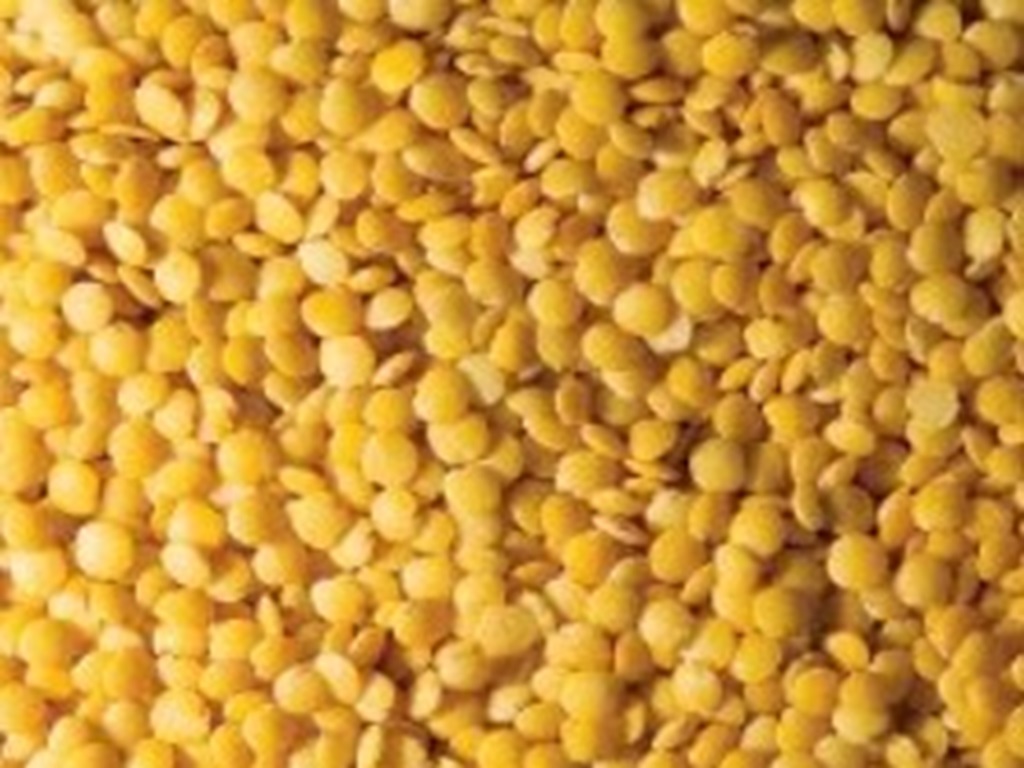 Developes two new variety of urad