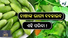 ଗ୍ରୀଷ୍ମ ଋତୁରେ ଚାଷୀଙ୍କ ଭାଗ୍ୟ ବଦଳାଇବ ଏହି ପରିବା...! ଗ୍ରୀଷ୍ମ ଋତୁରେ ଚାଷୀଙ୍କ ଭାଗ୍ୟ ବଦଳାଇବ ଏହି ପରିବା...!