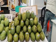 ବର୍ଷାଦିନେ ଏପରି ଆମ୍ବ ଗଛ ଲଗାନ୍ତୁ, ଗଛ ଫଳରେ ପରିପୂର୍ଣ୍ଣ ହେବ