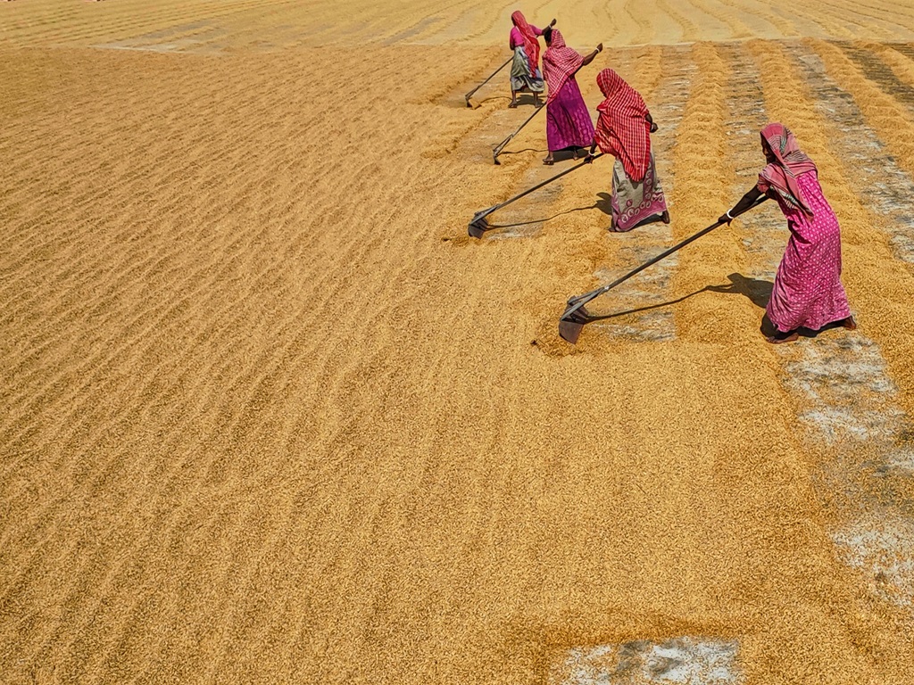Viksit Krishi Sankalp Abhiyan to start from 29th May, image source - pexels