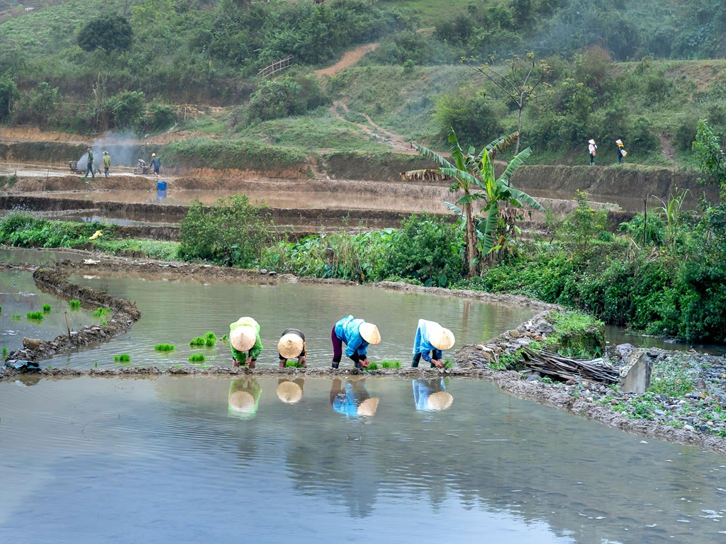 Lab to Land: New effort to connect testing labs and agricultural lands, image source - pexels