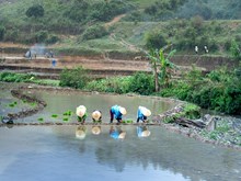 ଲ୍ୟାବ୍ ଟୁ ଲ୍ୟାଣ୍ଡ: ପରୀକ୍ଷାଗାର ଓ ଚାଷ ଜମିକୁ ଯୋଡ଼ିବାକୁ ନୂତନ ପ୍ରୟାସ  ଲ୍ୟାବ୍ ଟୁ ଲ୍ୟାଣ୍ଡ: ପରୀକ୍ଷାଗାର ଓ ଚାଷ ଜମିକୁ ଯୋଡ଼ିବାକୁ ନୂତନ ପ୍ରୟାସ