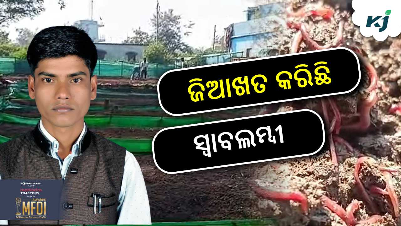 annual income 30 lakh rupees from vermicompost