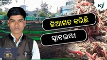 GFBN Story: ଜିଆଖତ ଦେଉଛି ବର୍ଷକୁ ରୋଜଗାର ୩୦ ଲକ୍ଷ ଟଙ୍କା