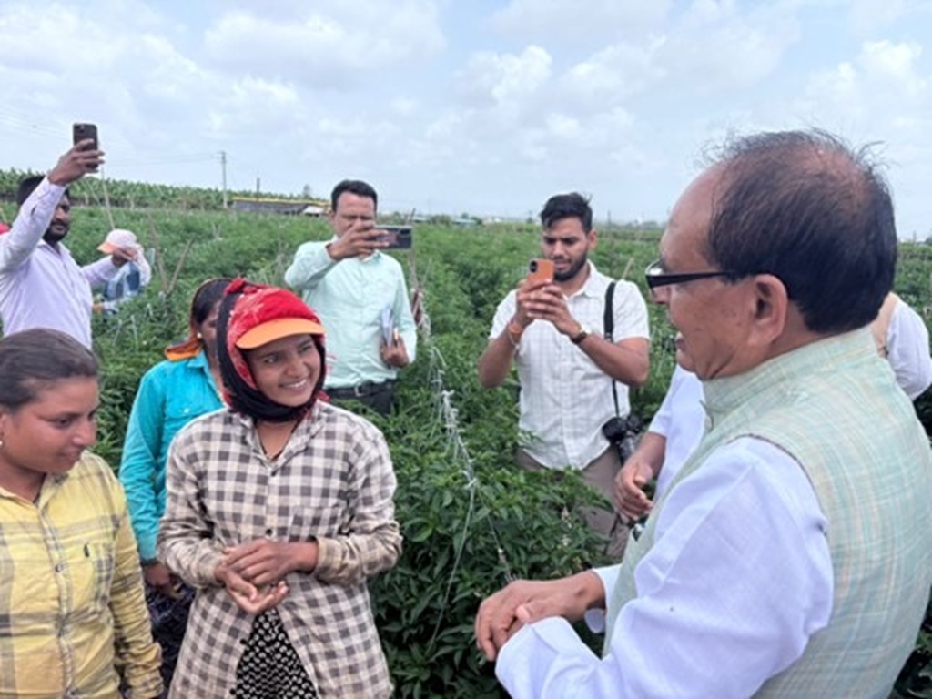 strict law for fake fertilizers company