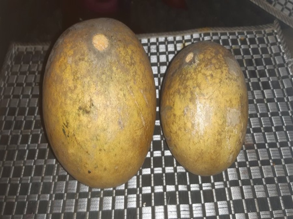 Bael fruit nutrition health benefits
