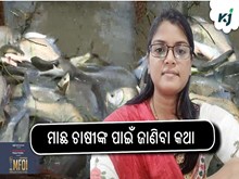 ଅମଳ ସମୟରେ ମାଛର ଯତ୍ନ
