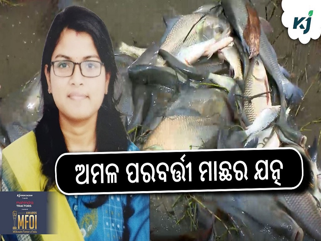 Taking care of fish in farming involves a combination of proper water quality management appropriate feeding practices