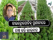 GFBN Story:ହାଇଡ୍ରୋପୋନିକ୍ ପ୍ରଣାଳୀରେ ଚାଷ କରି ଲାଭବାନ ଚାଷୀ ବିବେକ ମିଶ୍ର  