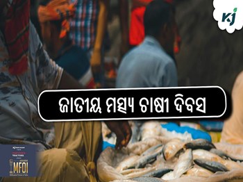 ଆଇସିଏଆର-ସିଫା ଠାରେ ଜାତୀୟ ମତ୍ସ୍ୟ ଚାଷୀ ଦିବସ ୨୦୨୫ ଆୟୋଜନ କରିବ କେନ୍ଦ୍ର ମତ୍ସ୍ୟପାଳନ ମନ୍ତ୍ରଣାଳୟ