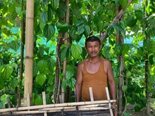 କିଏ କହିପାରିବ ଏହି ସବୁ ଫଳ ଏବଂ ପନିପରିବାର ନାଁ କ'ଣ?