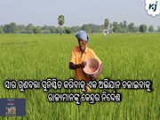 ସାର ଗୁଣବତ୍ତା ସୁନିଶ୍ଚିତ କରିବାକୁ ଏକ ଅଭିଯାନ ଚଳାଇବାକୁ ରାଜ୍ୟମାନଙ୍କୁ କେନ୍ଦ୍ରର ନିର୍ଦ୍ଦେଶ