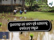 ପ୍ରଧାନମନ୍ତ୍ରୀ ଧନ ଧାନ୍ୟ କୃଷି ଯୋଜନାକୁ କ୍ୟାବିନେଟ୍‌ ମଞ୍ଜୁରୀ