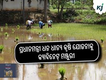 ପ୍ରଧାନମନ୍ତ୍ରୀ ଧନ ଧାନ୍ୟ କୃଷି ଯୋଜନାକୁ କ୍ୟାବିନେଟ୍‌ ମଞ୍ଜୁରୀ