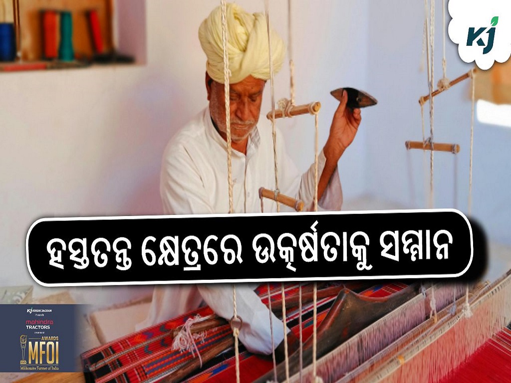 Handloom Awards 2024: Honouring Excellence in the Handloom Sector, pic credit- www.pexels.com