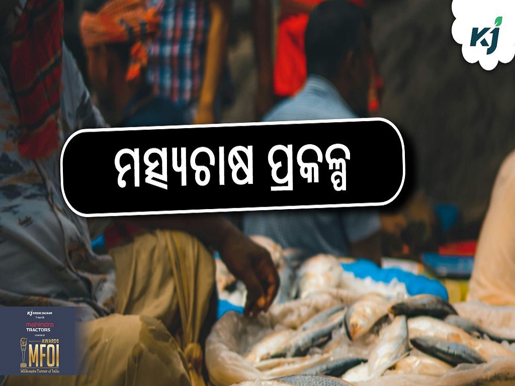 India-led SAARC Fish Culture Initiative to Be Launched in Colombo, Sri Lanka on 5 August 2025 , pic credit- www.pexels.com