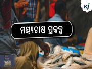 ଭାରତର ନେତୃତ୍ୱରେ ଆରମ୍ଭ ହେବ ସାର୍କ ଅଞ୍ଚଳରେ ଏକ ଗୁରୁତ୍ୱପୂର୍ଣ୍ଣ ମତ୍ସ୍ୟଚାଷ ପ୍ରକଳ୍ପ