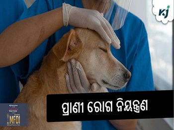ପ୍ରାଣୀ ରୋଗ ନିୟନ୍ତ୍ରଣ ପାଇଁ କେନ୍ଦ୍ରରୁ ୫ ବର୍ଷରେ ୯୧୪୭.୪୨ କୋଟି ଟଙ୍କା ପାଇଛି ଓଡ଼ିଶା