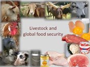 ଖାଦ୍ୟ ସୁରକ୍ଷାରେ ପ୍ରାଣୀ ସମ୍ପଦର ଭୂମିକା