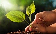 ବିଶ୍ଵ ମୃତ୍ତିକା ଦିବସ"ମୃତ୍ତିକା ପ୍ରଦୂଷଣ ର ସମାଧାନ ହୁଅ" ବିଶ୍ଵ ମୃତ୍ତିକା ଦିବସ"ମୃତ୍ତିକା ପ୍ରଦୂଷଣ ର ସମାଧାନ ହୁଅ"