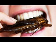 ଝିଣ୍ଟିକା କରିବା ପେଟ ସଫା!!!