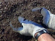 ଜମି ପଡ଼ିଆ ପଡ଼ିଛି କି???