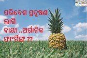 ଅର୍ଗାନିକ ଫାଂର୍ମିଙ୍ଗ ଦ୍ୱାରା ହେଇପାରେ କି ଅଙ୍ଗାରକାମ୍ଳ ବୃଦ୍ଧି   …