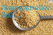 ମିଲେଟ କୁ ସଫା କରିବେ କିପରି ….