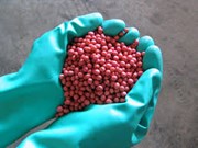  କାହିଁକି କରିବେ ବିହନ ଉପଚାର (ଦ୍ଵିତୀୟ ଭାଗ)