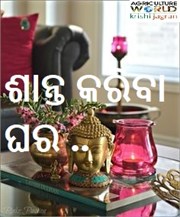 ଘର କରିବ ମନ ଶାନ୍ତି 