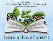 ଆଜି ବିଶ୍ୱଜଙ୍ଗଲ ଦିବସ !