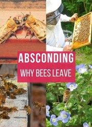 ମହୁମାଛିଙ୍କର ଅଦ୍ଭୁତ ଆଚରଣ !