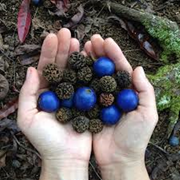 ଚମତ୍କାରୀ ଔଷଧ !