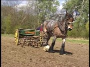 ଟ୍ରାକଟର  ବଦଳରେ ଘୋଡା !