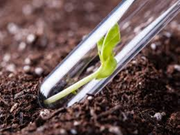 କାହିଁକି  କରିବେ ମାଟି ପରୀକ୍ଷା ?