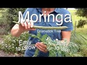 ଏହି ଫସଲ ଦେବ ପ୍ରବଳ ଲାଭ  !