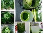 ଅମୃତଭଣ୍ଡା  ର ପତ୍ର!ଡେଙ୍ଗୁ ର ସହଜ ଉପଚାର !