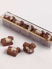 ଗୃହପାଳିତ ପଶୁଙ୍କ ଲାଗି ଚକଲେଟ !