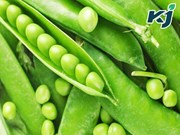 ଶୀତଦିନେ ତ୍ୱଚାରେ ଚମକ ଆଣେ ଗ୍ରୀନ୍ ମଟର