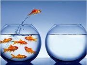 ଆପଣ ଜାଣି ରଖନ୍ତୁ: ଗ୍ରୀଷ୍ମ ଋତୁରେ ଆକ୍ୱାରିୟମର ଯତ୍ନ