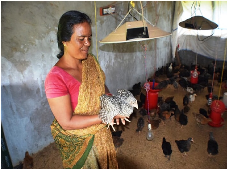 Poultry farming by Women