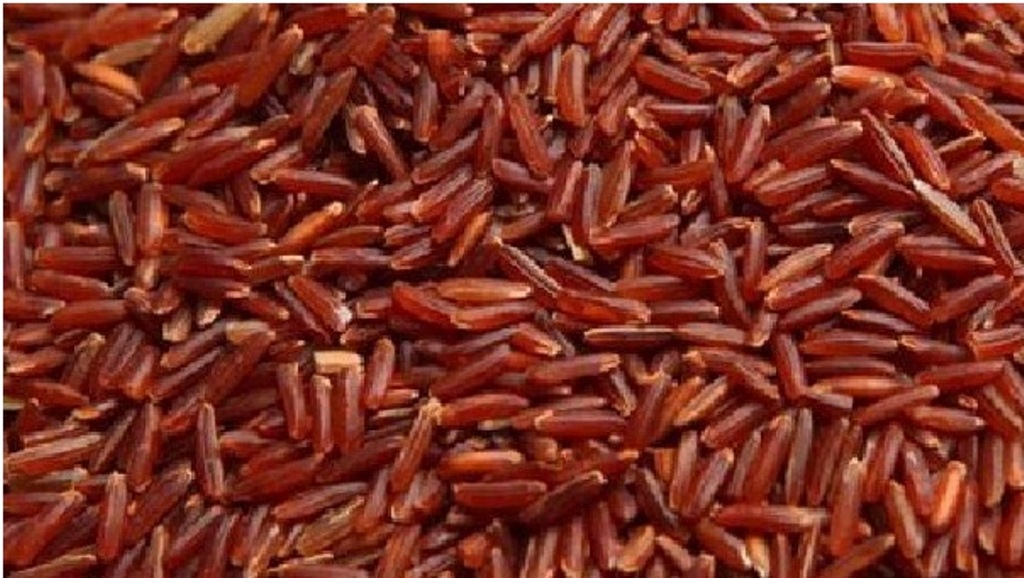 Red Rice of Assam