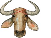 ଗାଈଗୋରୁଙ୍କ ଜୀବନ ଯାଉଛି ଶିକାରୀ ବୋମାରେ