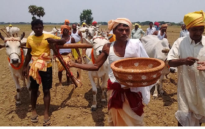 Farmer's Festival; Akshay Tritiya