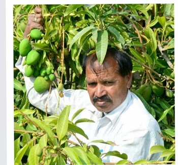 ଆମ୍ବର ମଣିଷ: କିଷାନ ସୁମନ