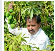 ଆମ୍ବର ମଣିଷ: କିଷାନ ସୁମନ