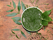 ଭୂଇଁନିମ୍ବର ଭିତିରି କଥା, ଏବେ ଜାଣନ୍ତୁ !!  