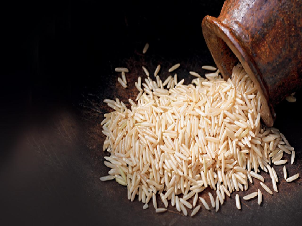 Basmati Rice